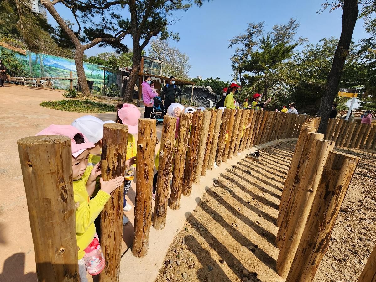 112.3.8 戶外教學---小幼班 春季旅遊新竹市動物園散步趣