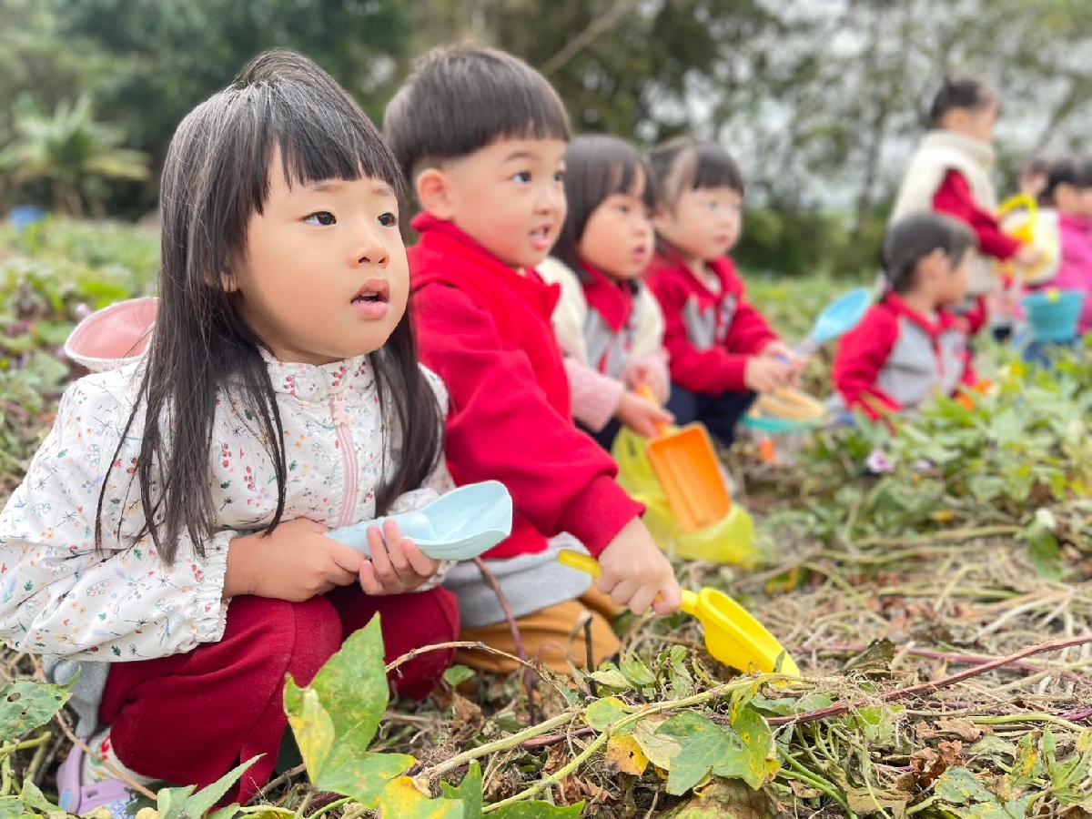 田園趣~挖啊挖啊挖!!挖地瓜囉!!(幼幼班)