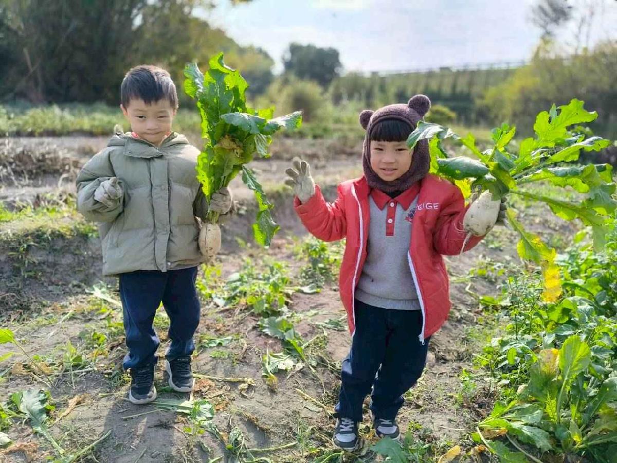 line_album_????櫻桃 拔蘿蔔_260108_21