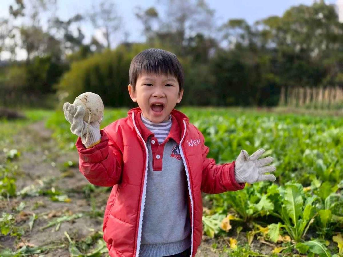 line_album_????櫻桃 拔蘿蔔_260108_22