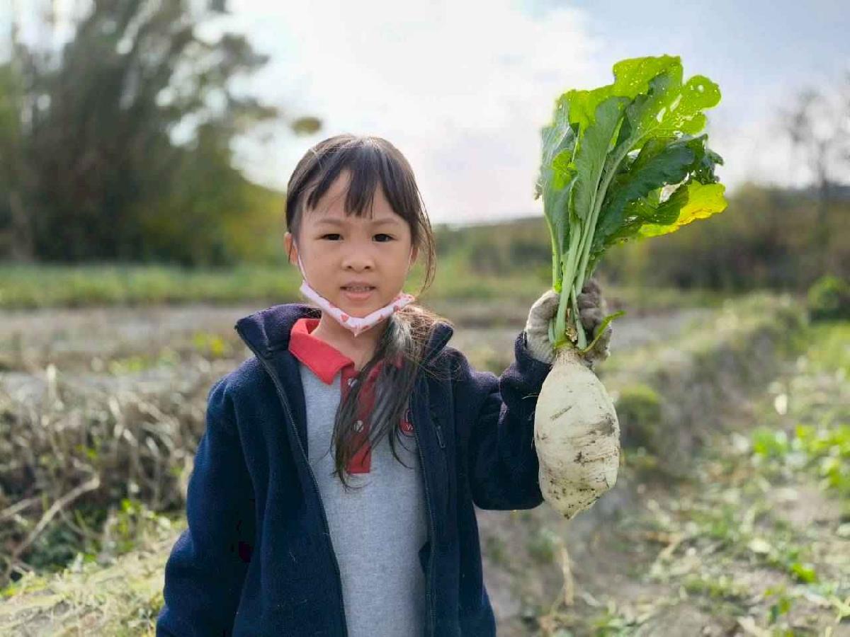 line_album_????櫻桃 拔蘿蔔_260108_23