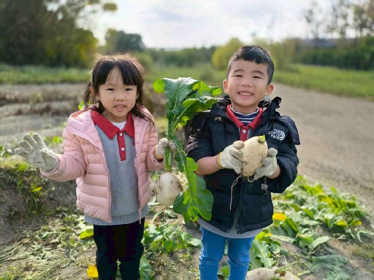 line_album_????櫻桃 拔蘿蔔_260108_25