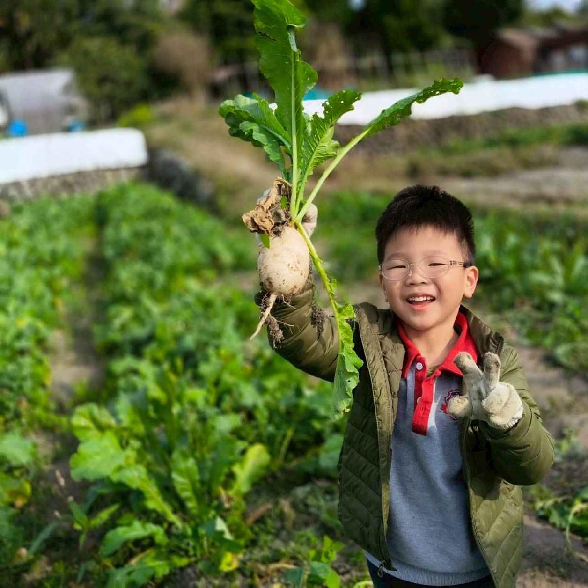 line_album_????櫻桃 拔蘿蔔_260108_26