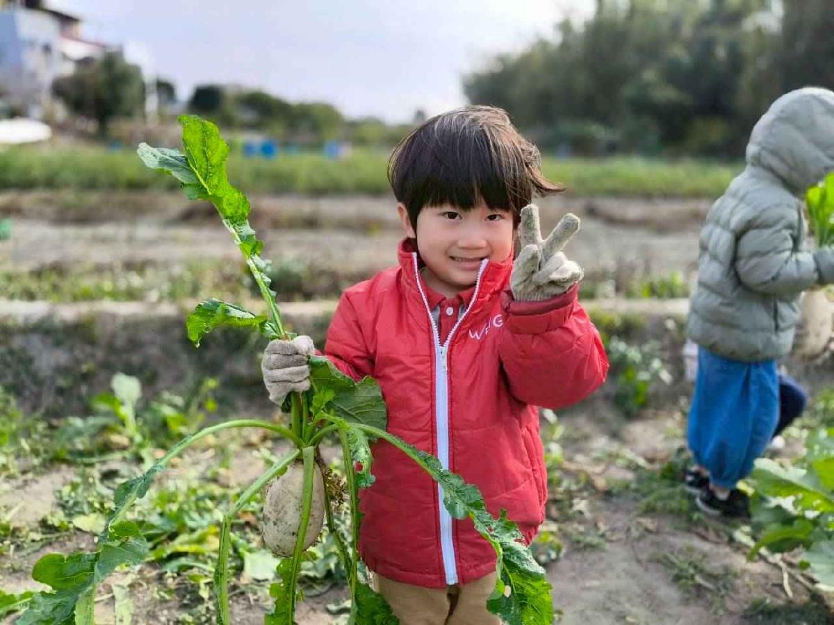 line_album_????櫻桃 拔蘿蔔_260108_27