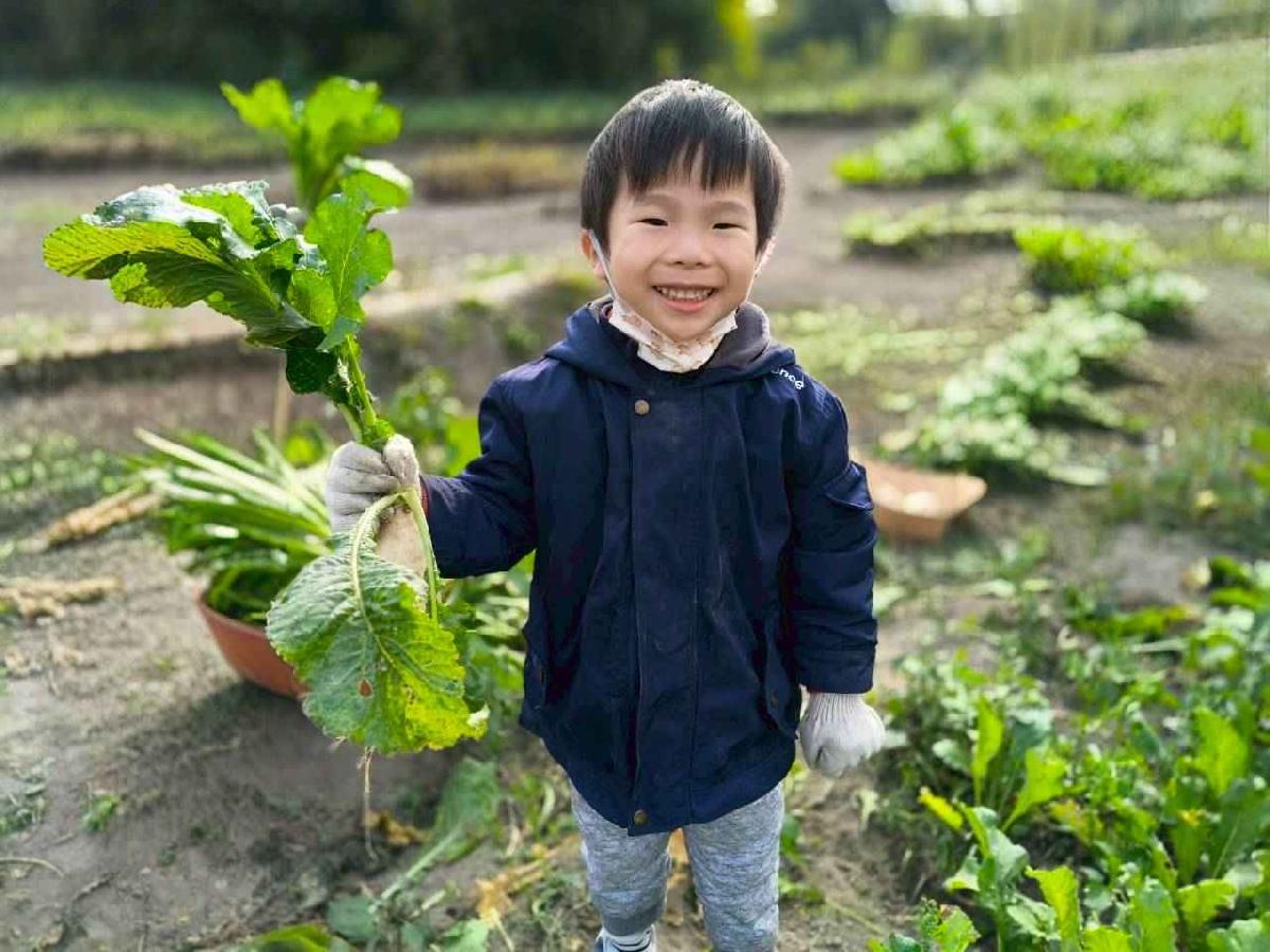 line_album_????櫻桃 拔蘿蔔_260108_28