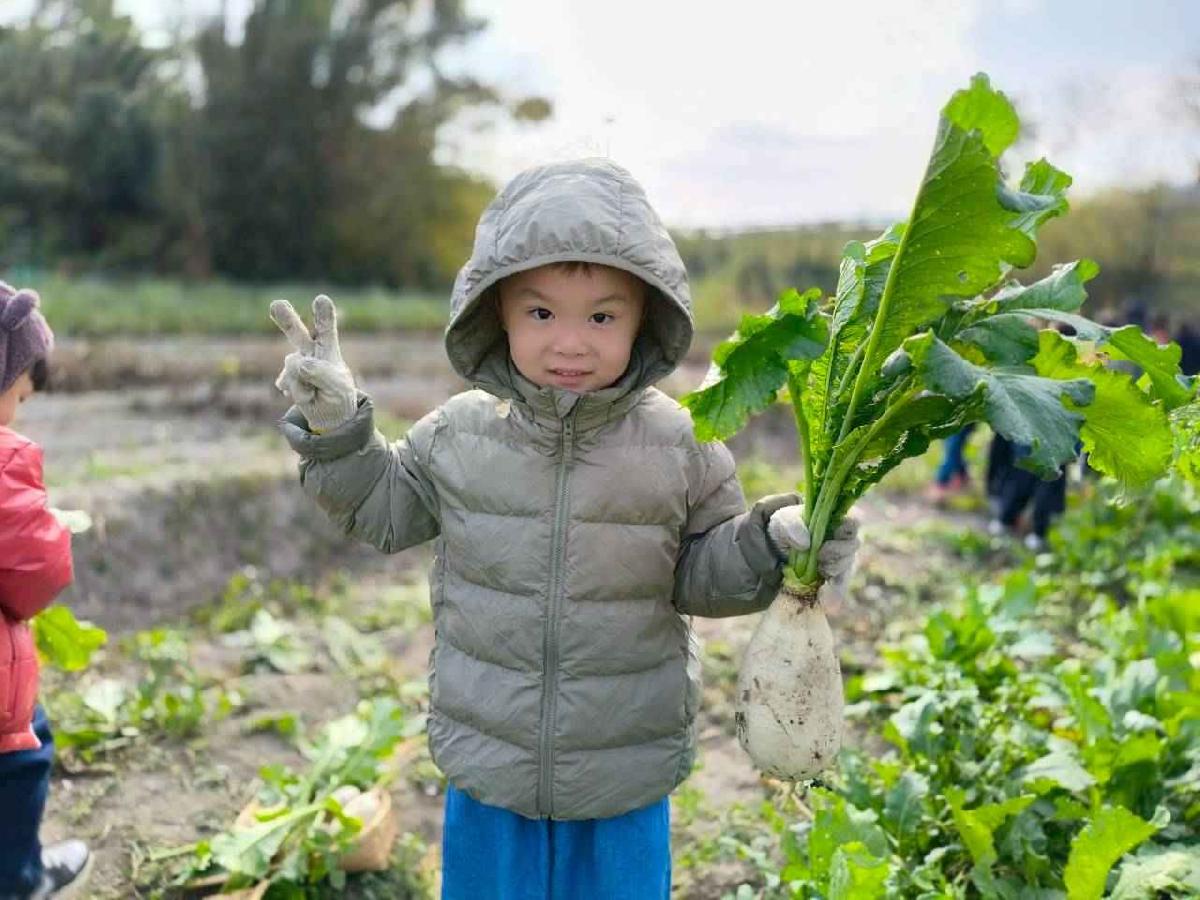 line_album_????櫻桃 拔蘿蔔_260108_29