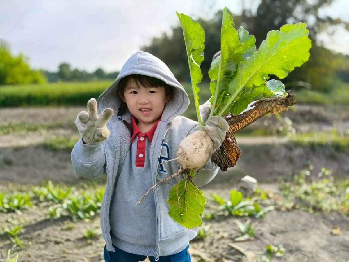 line_album_????櫻桃 拔蘿蔔_260108_40