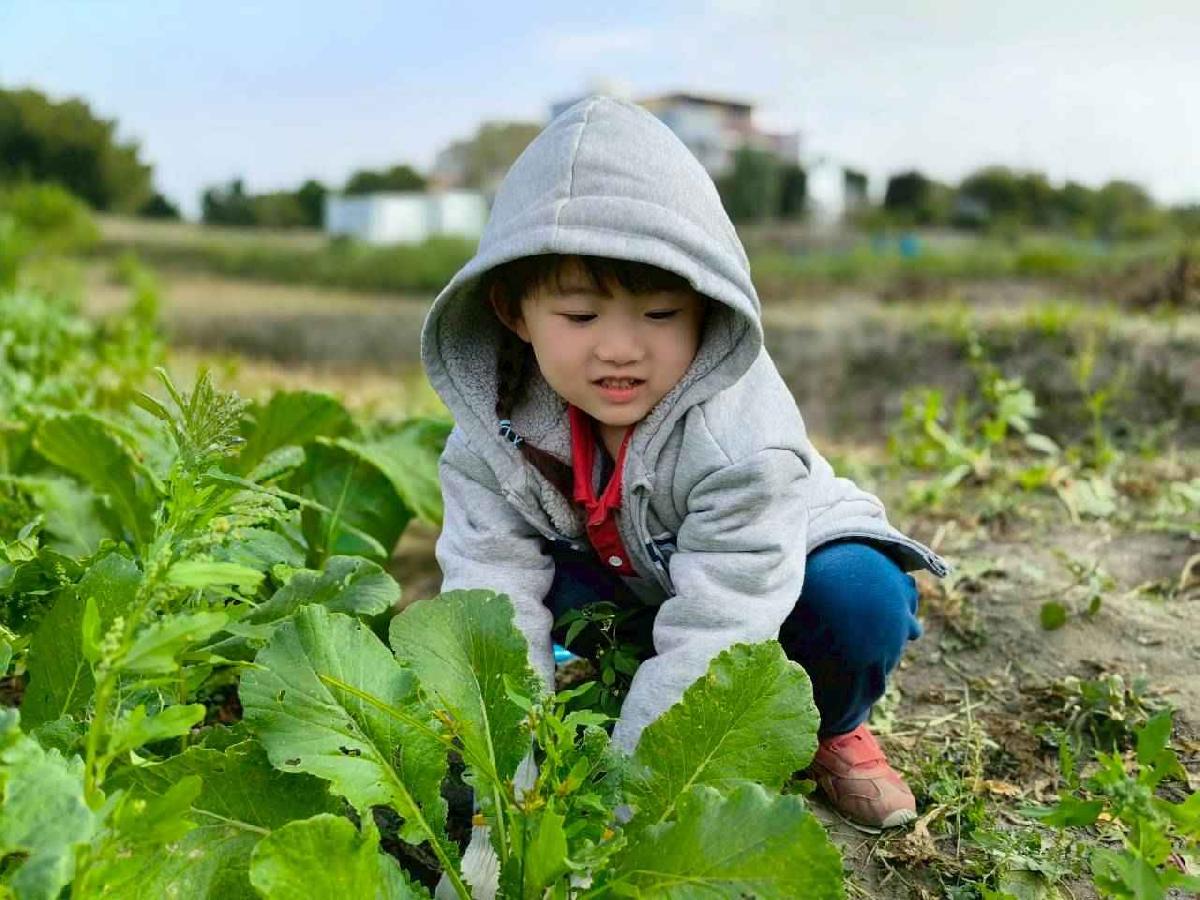 line_album_????櫻桃 拔蘿蔔_260108_41