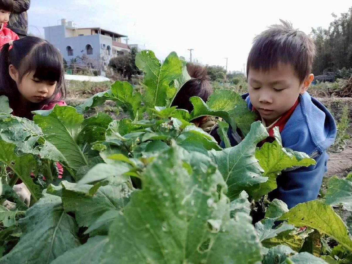 line_album_拔蘿蔔_260108_5