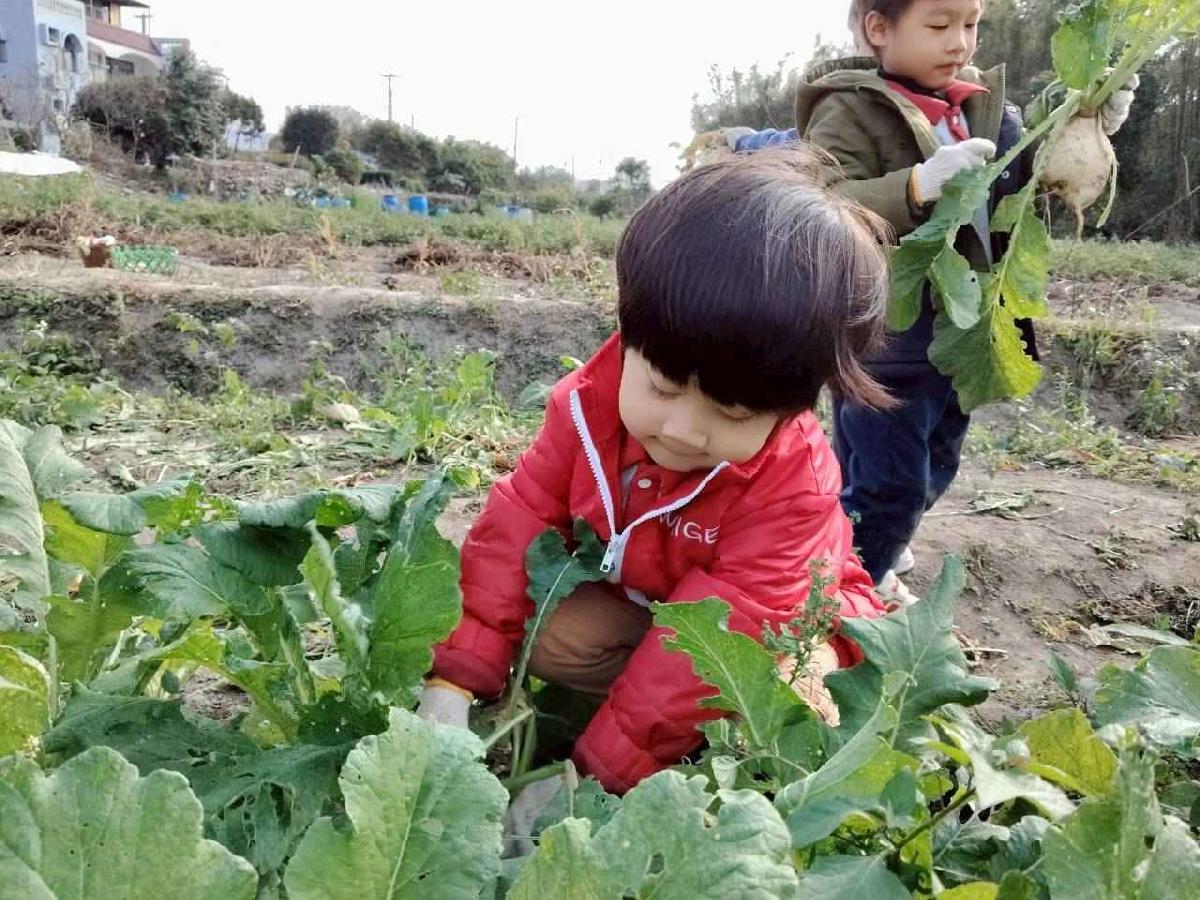 line_album_拔蘿蔔_260108_6