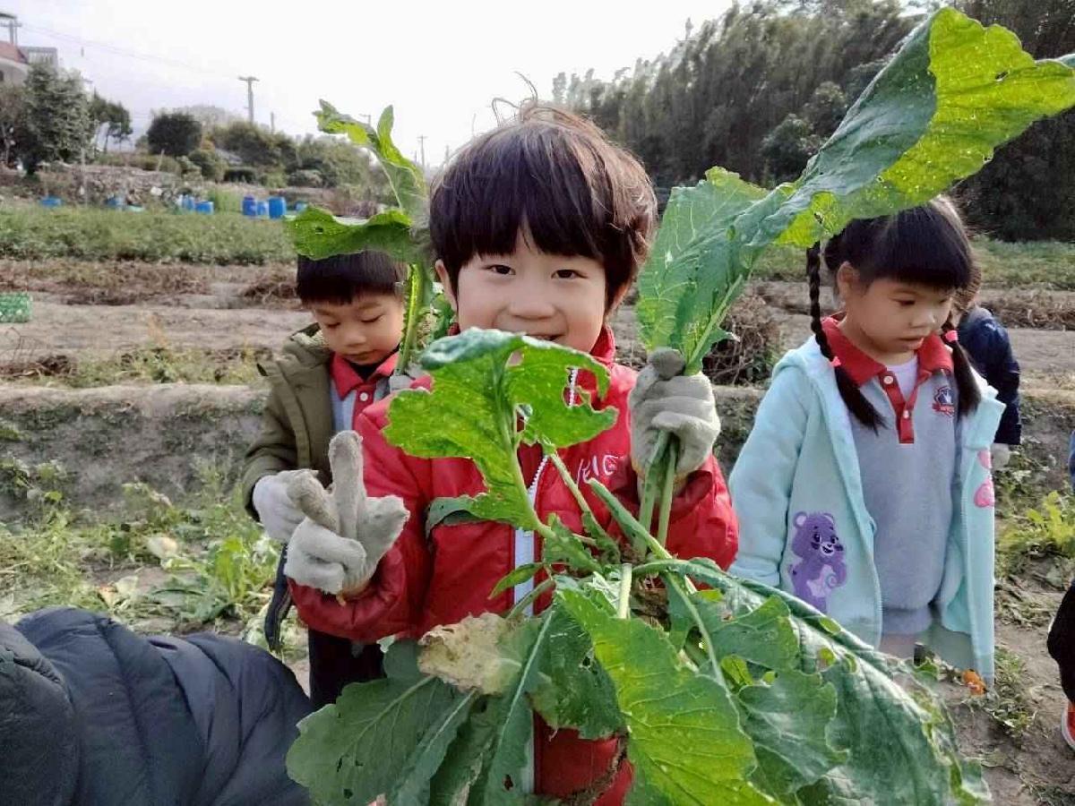 line_album_拔蘿蔔_260108_8