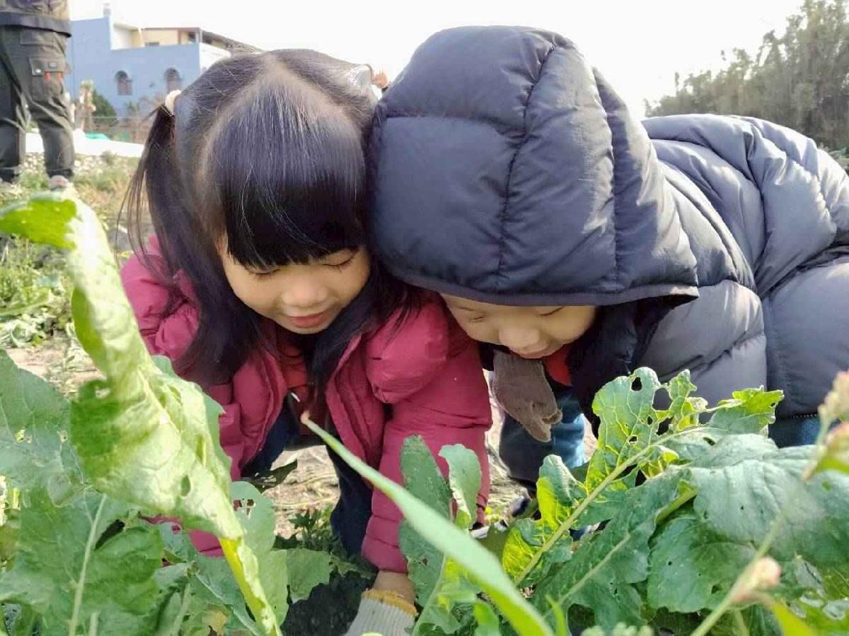 line_album_拔蘿蔔_260108_10