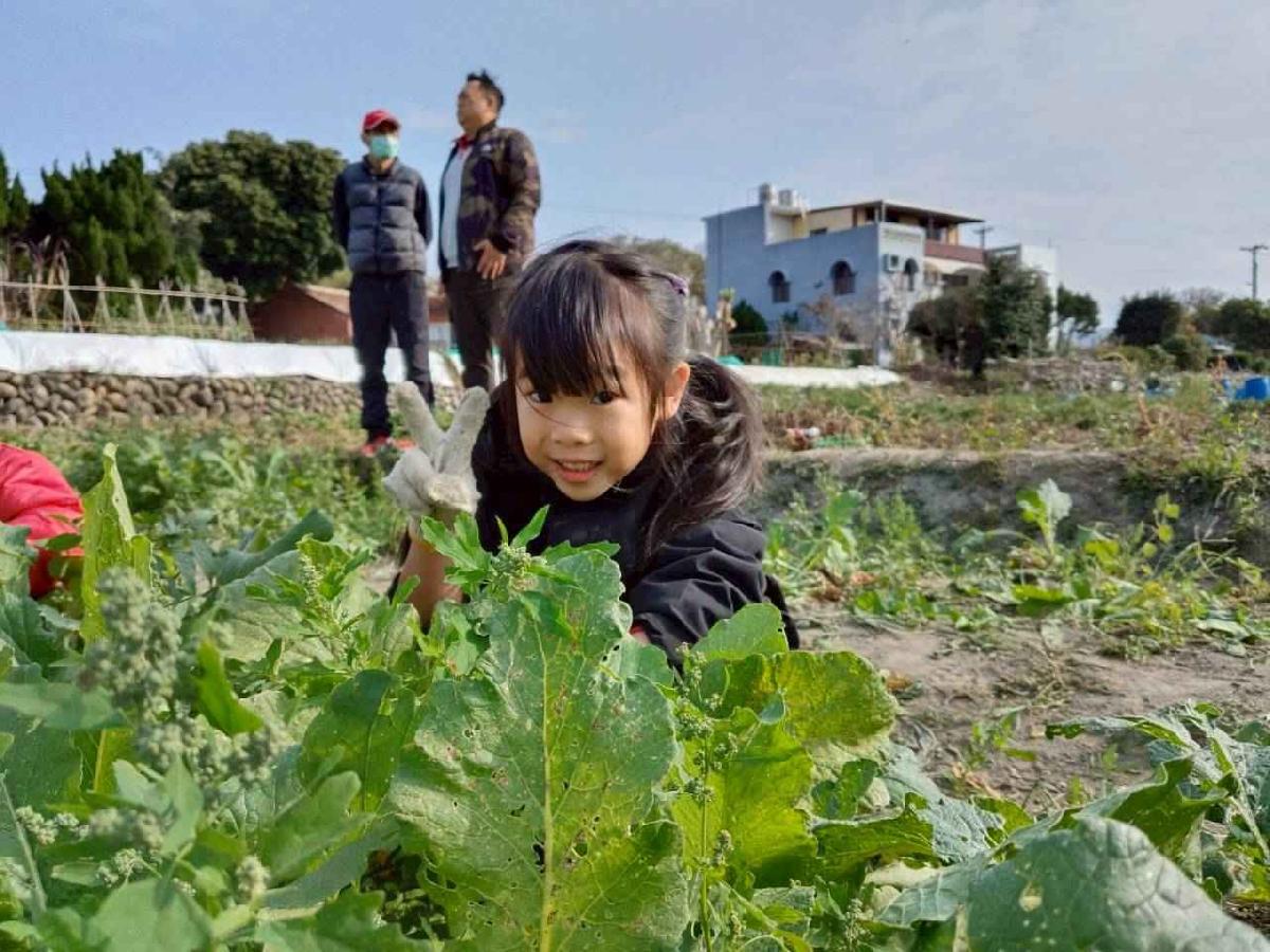 line_album_拔蘿蔔_260108_11