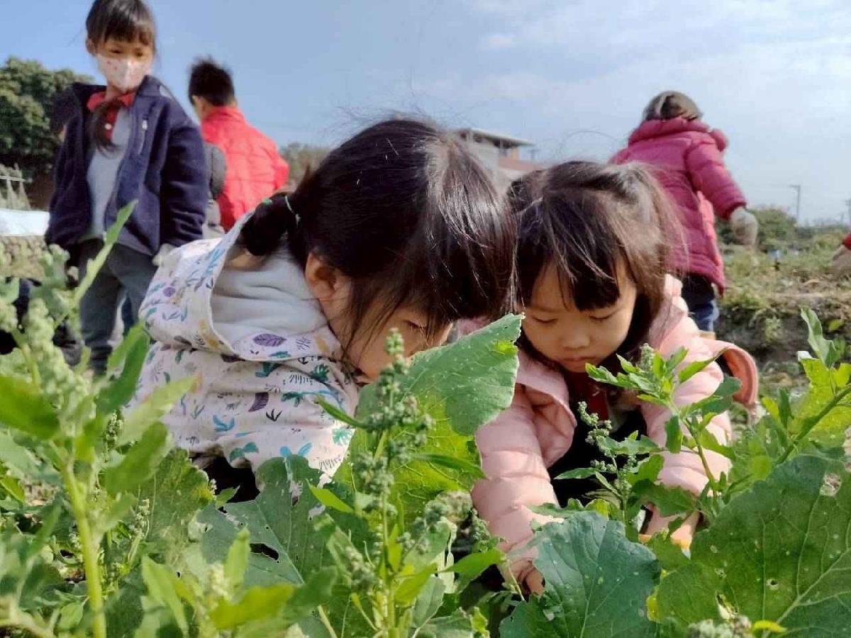 line_album_拔蘿蔔_260108_21