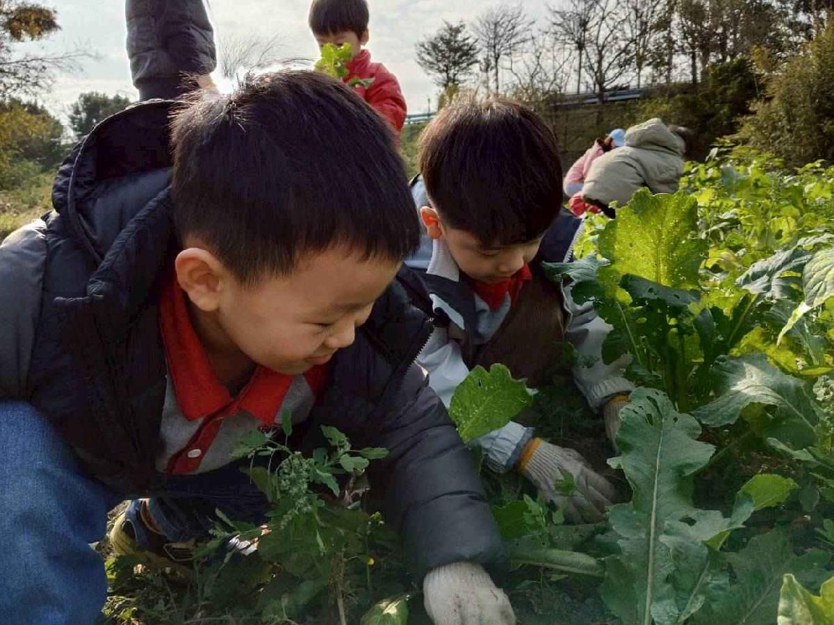 line_album_拔蘿蔔_260108_22