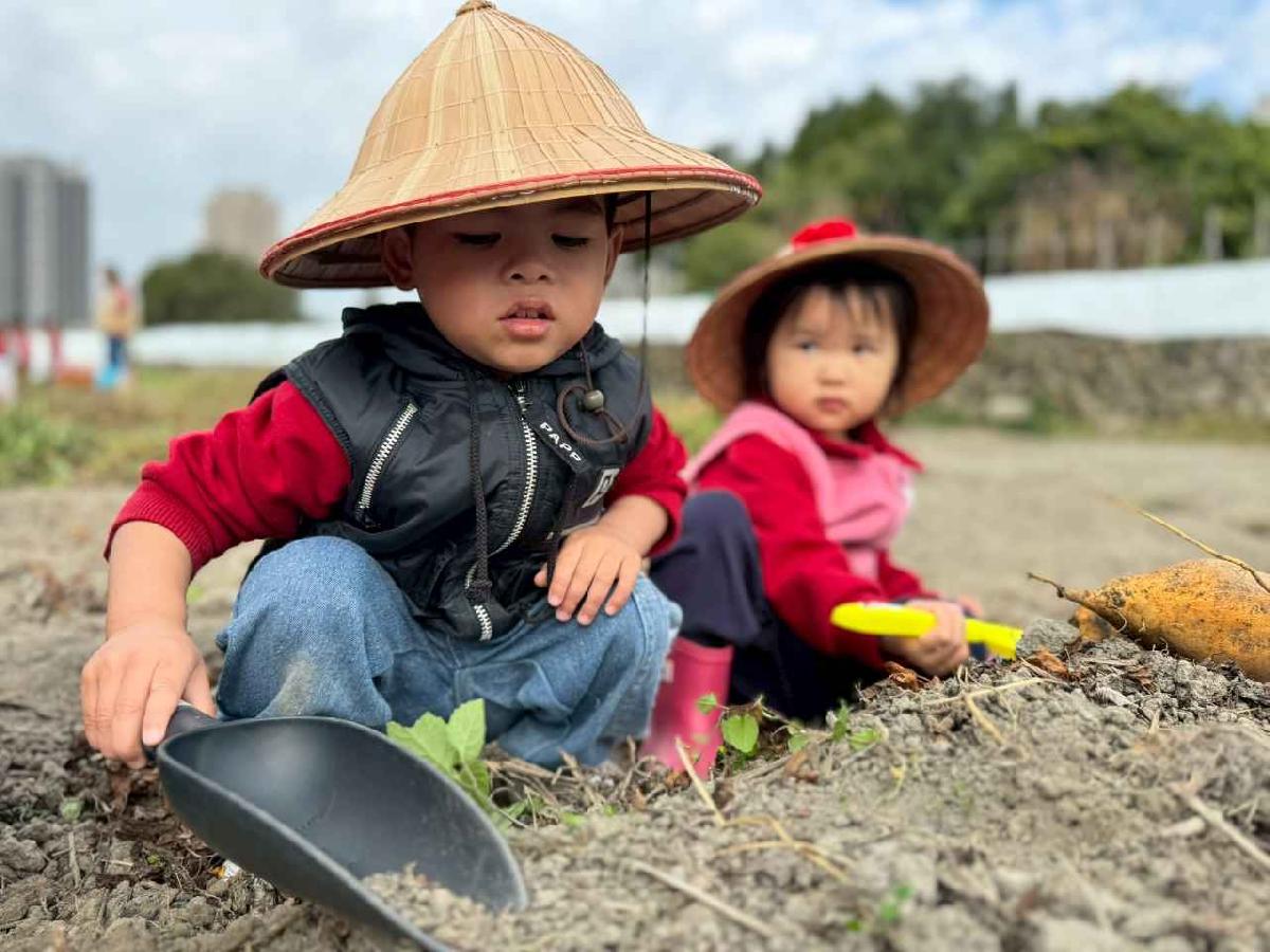 line_album_orange class????_260112_5