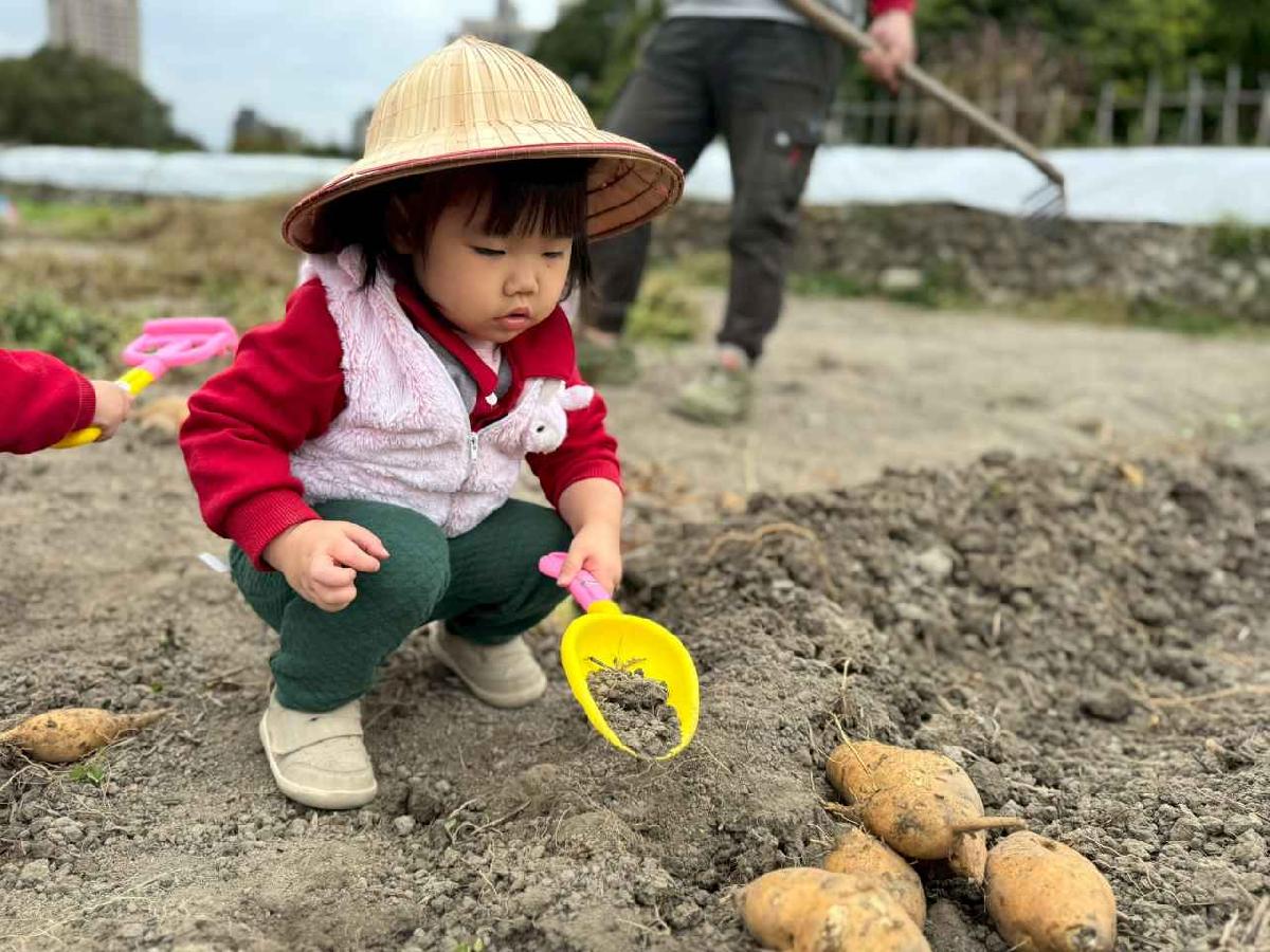 line_album_orange class????_260112_11