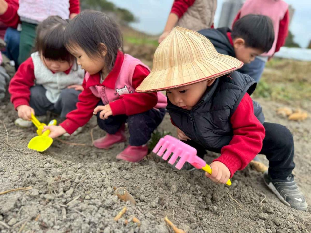 line_album_orange class????_260112_13