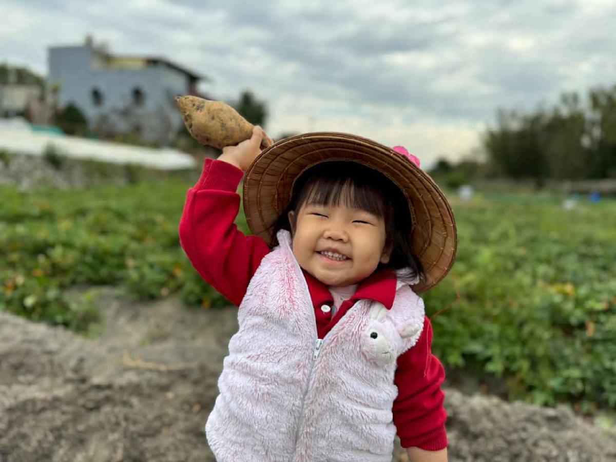 line_album_orange class????_260112_16