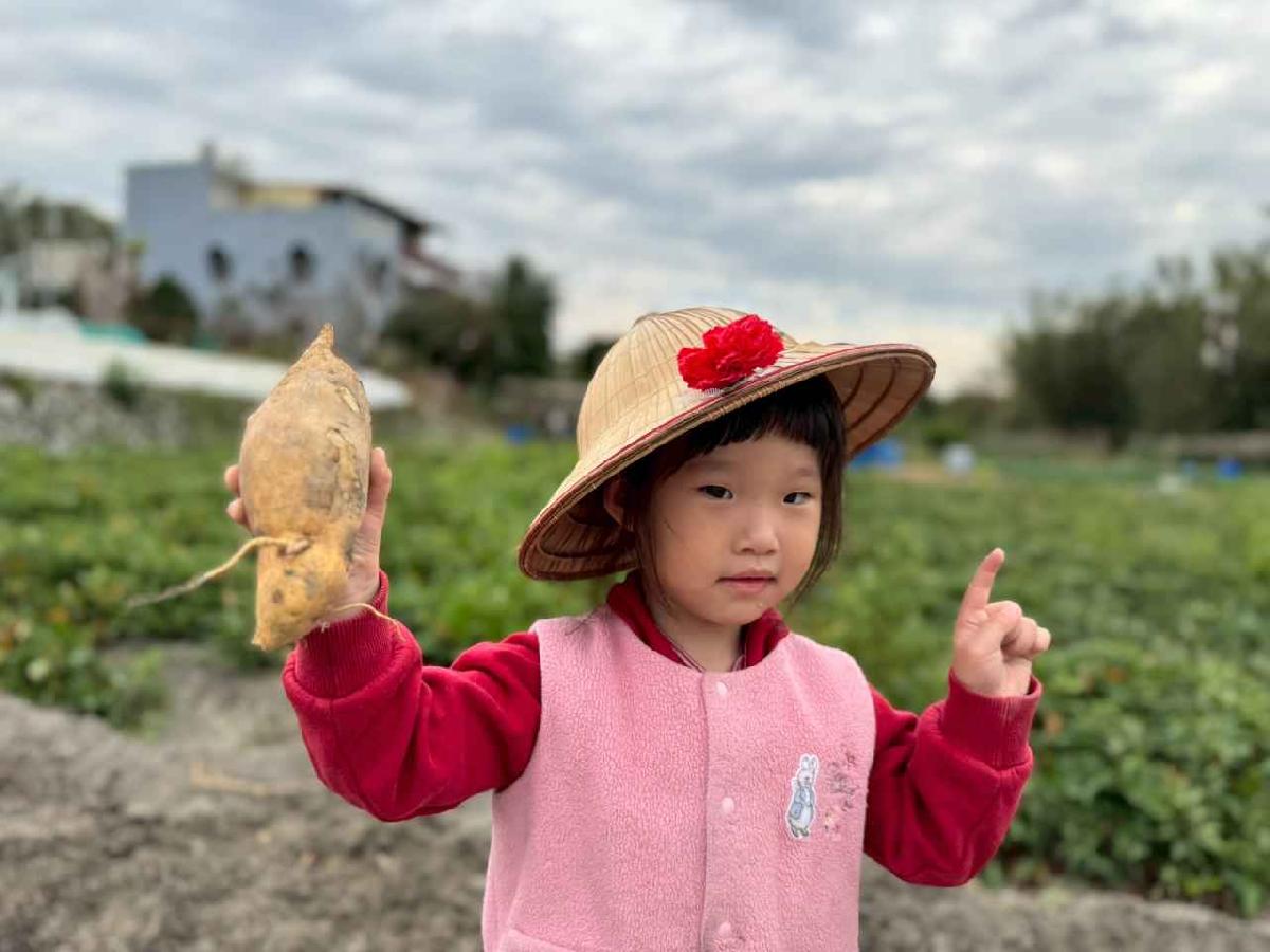 line_album_orange class????_260112_17