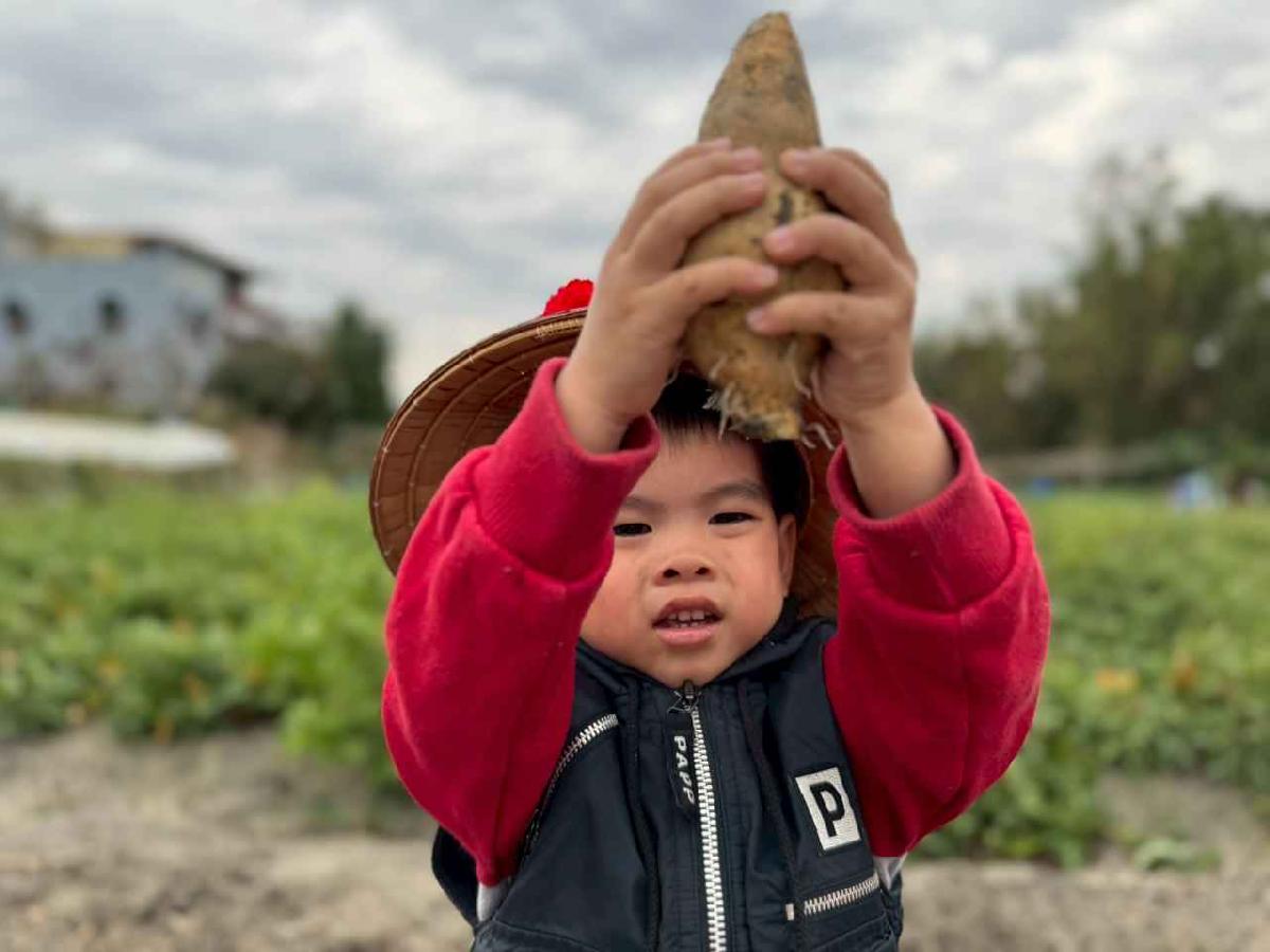 line_album_orange class????_260112_18