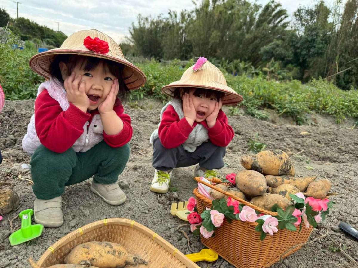 line_album_orange class????_260112_21