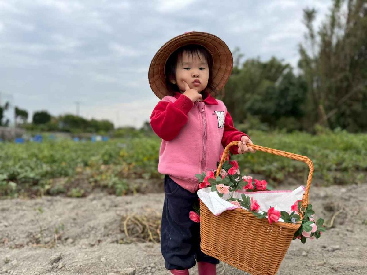 line_album_orange class????_260112_29