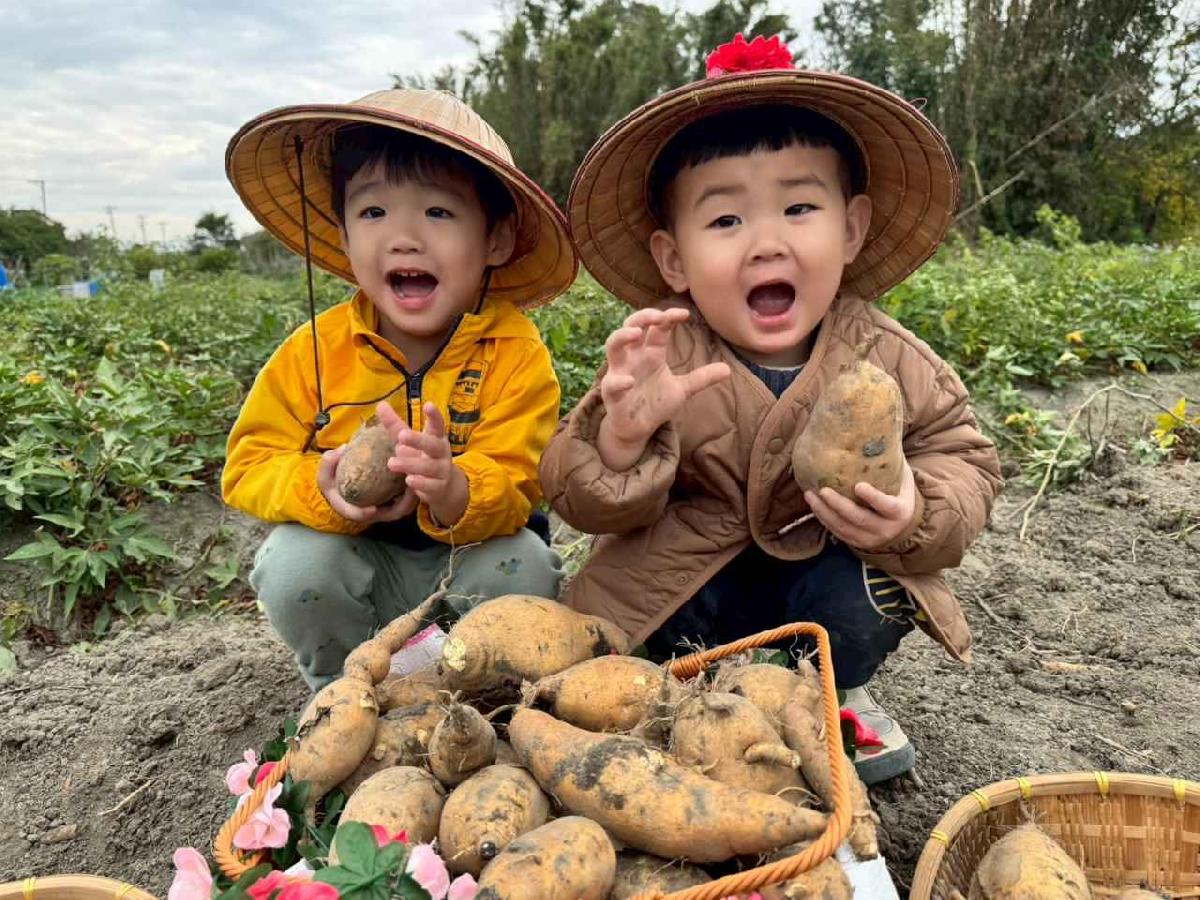 line_album_地瓜莓_260112_4