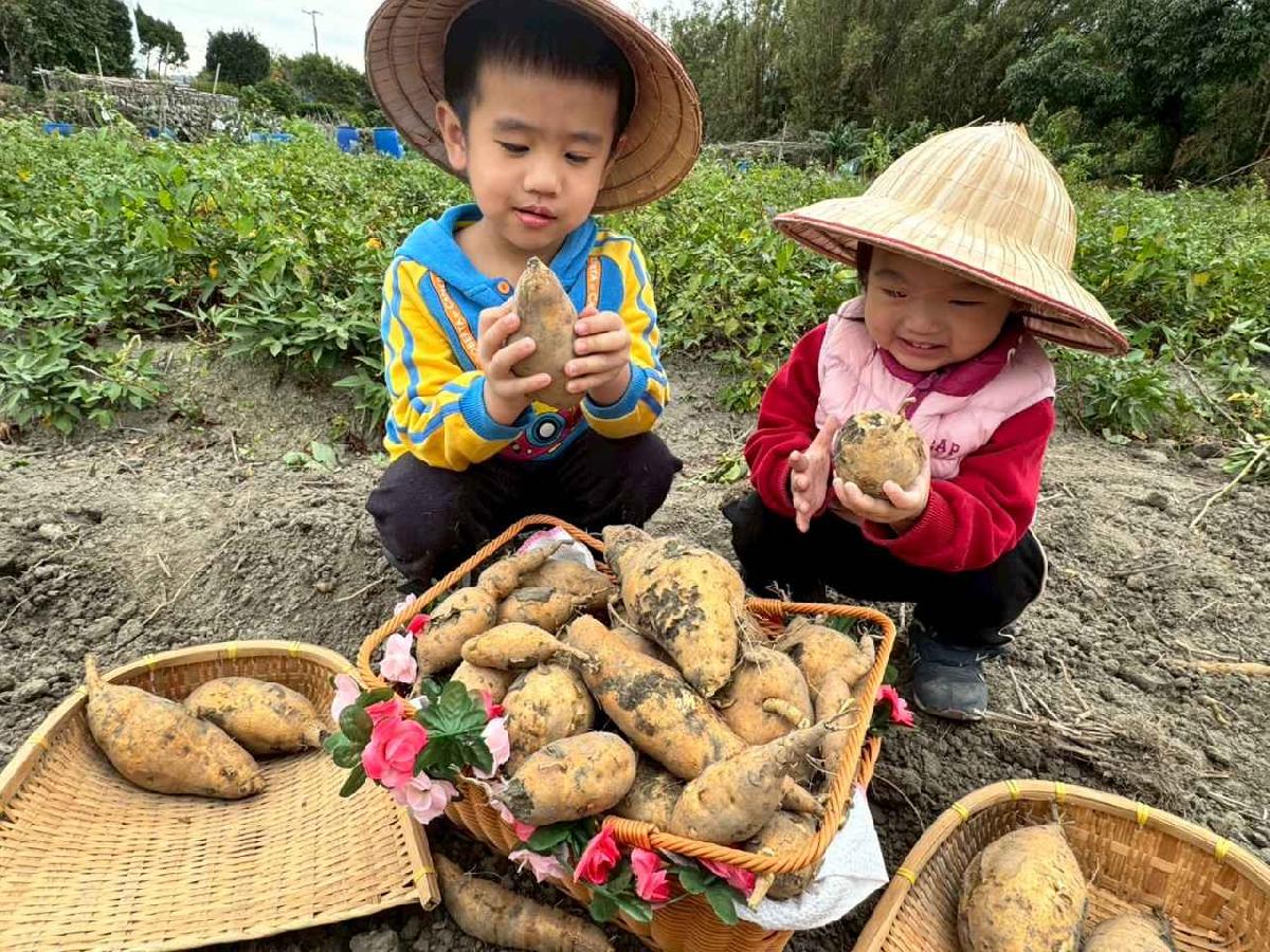 line_album_地瓜莓_260112_5