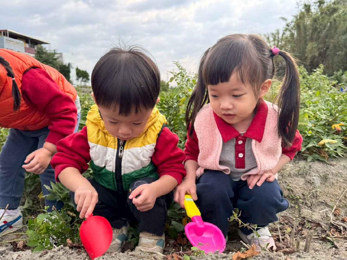 line_album_地瓜莓_260112_11