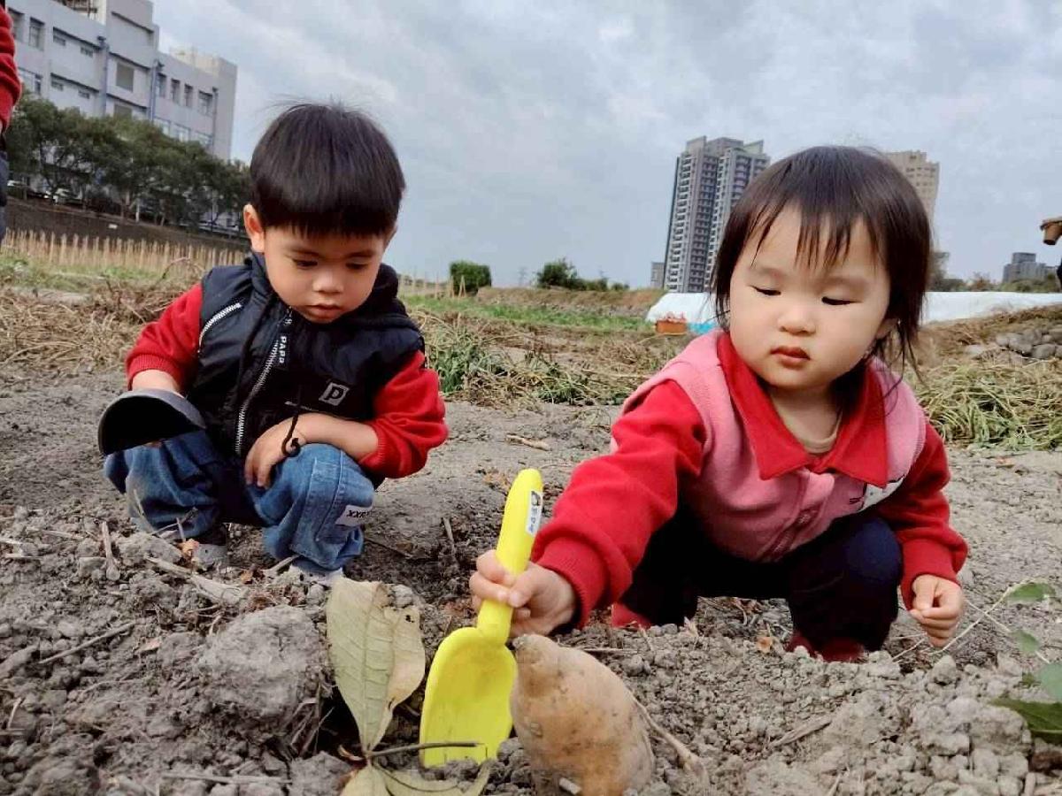 line_album_地瓜莓_260112_17