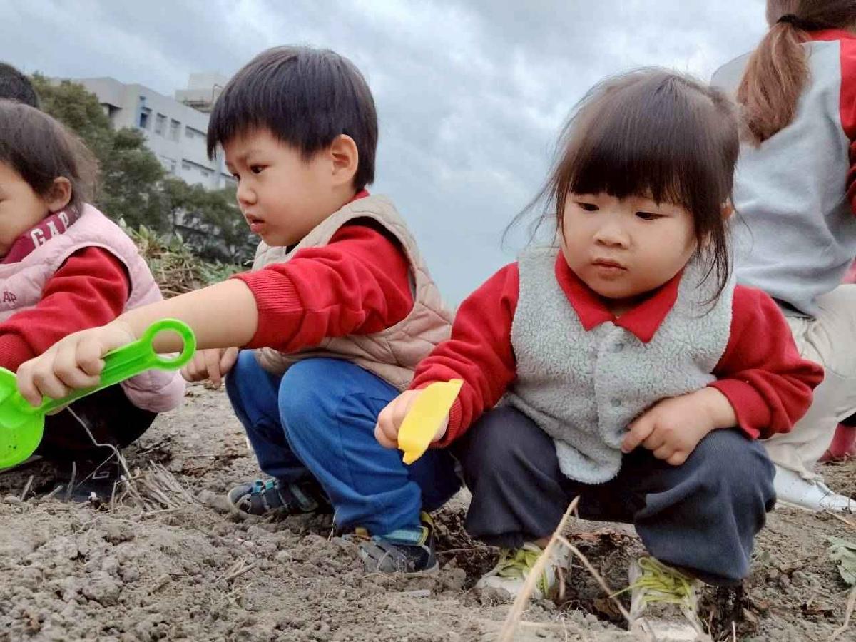 line_album_地瓜莓_260112_19