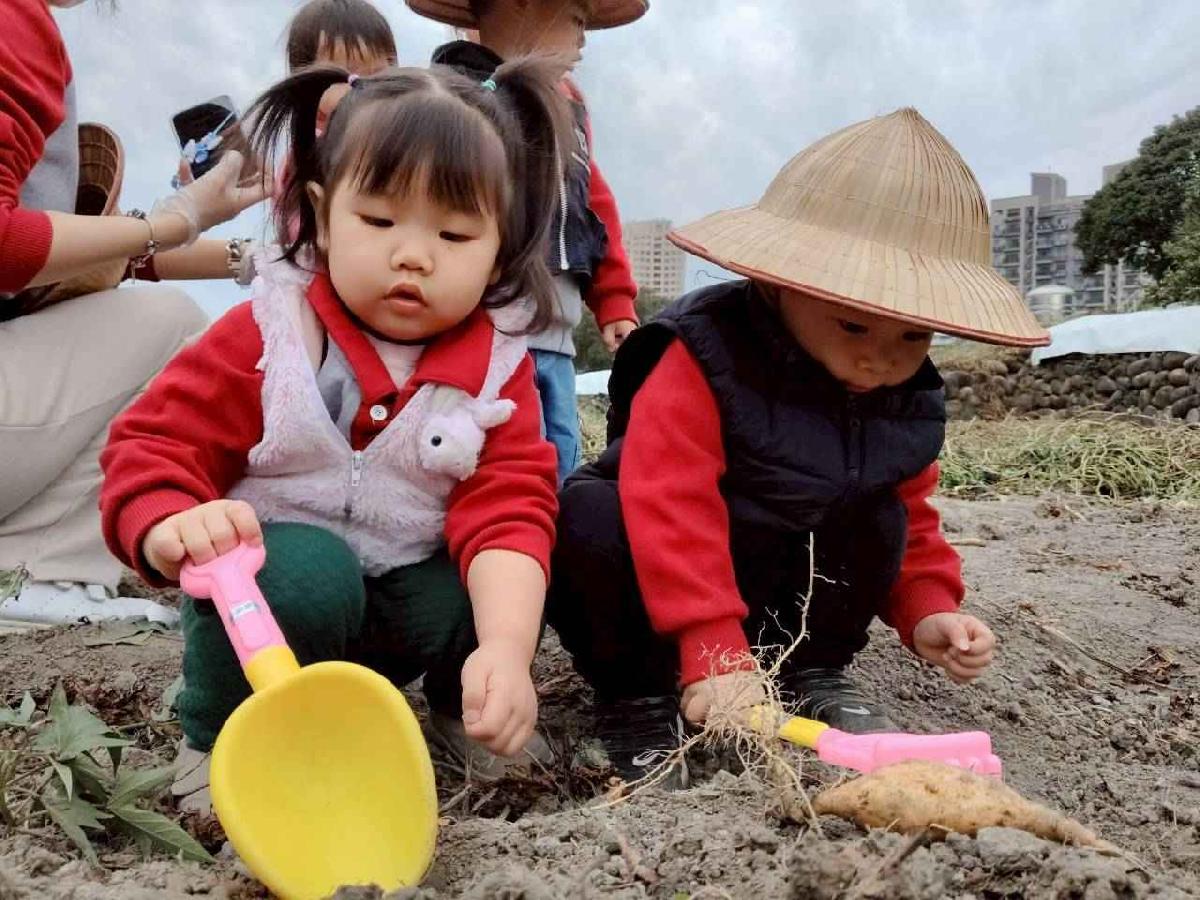 line_album_地瓜莓_260112_24