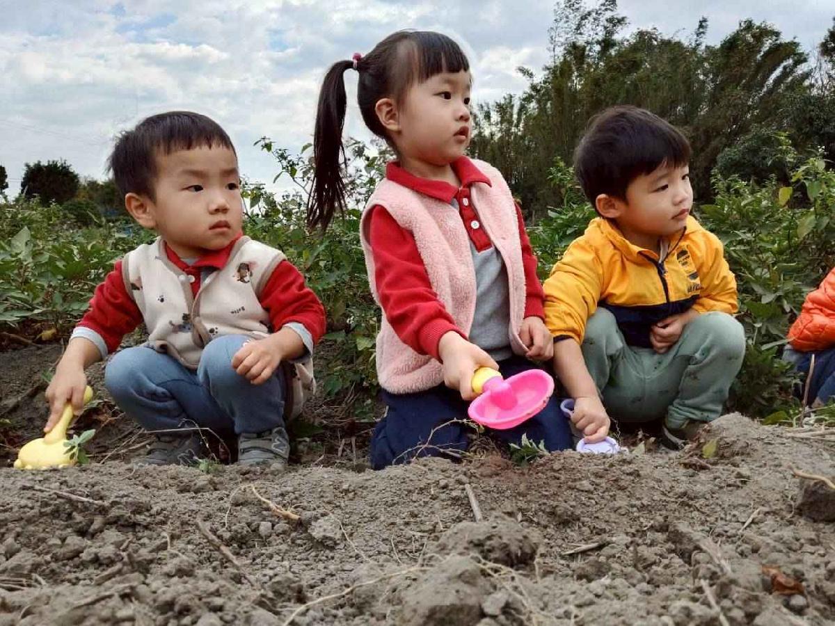 line_album_地瓜莓_260112_27