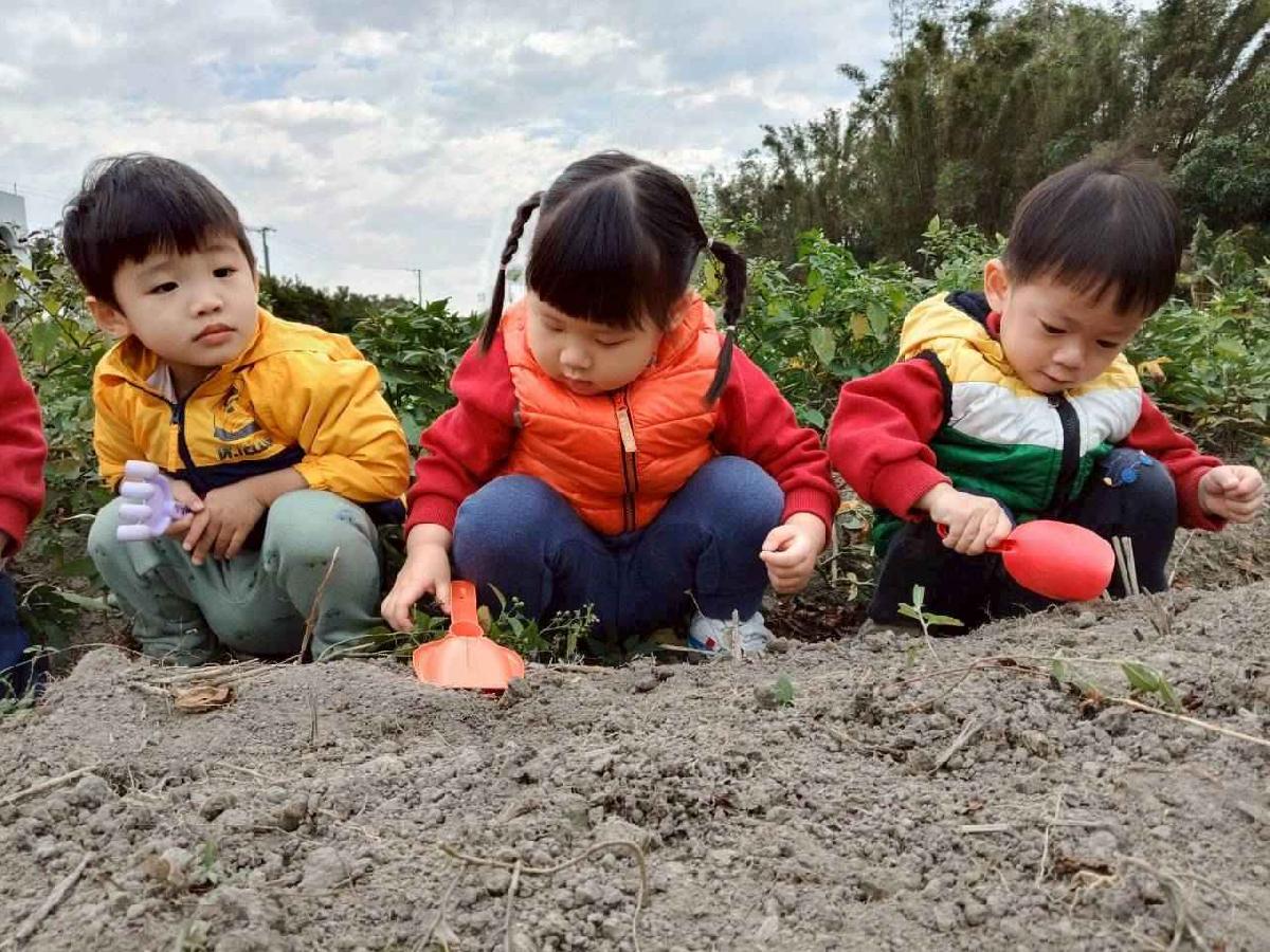 line_album_地瓜莓_260112_30