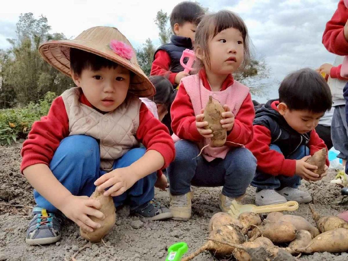 line_album_地瓜莓_260112_31