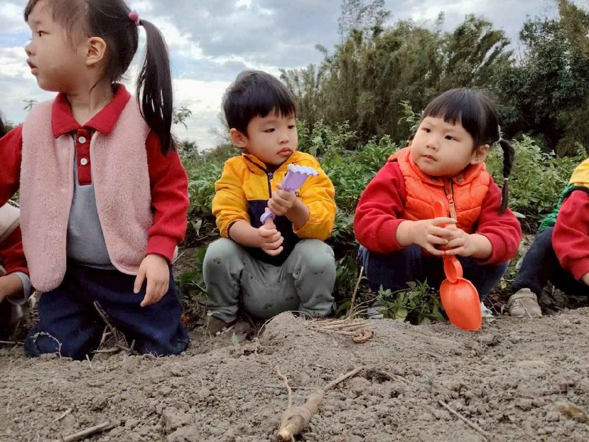 line_album_地瓜莓_260112_32