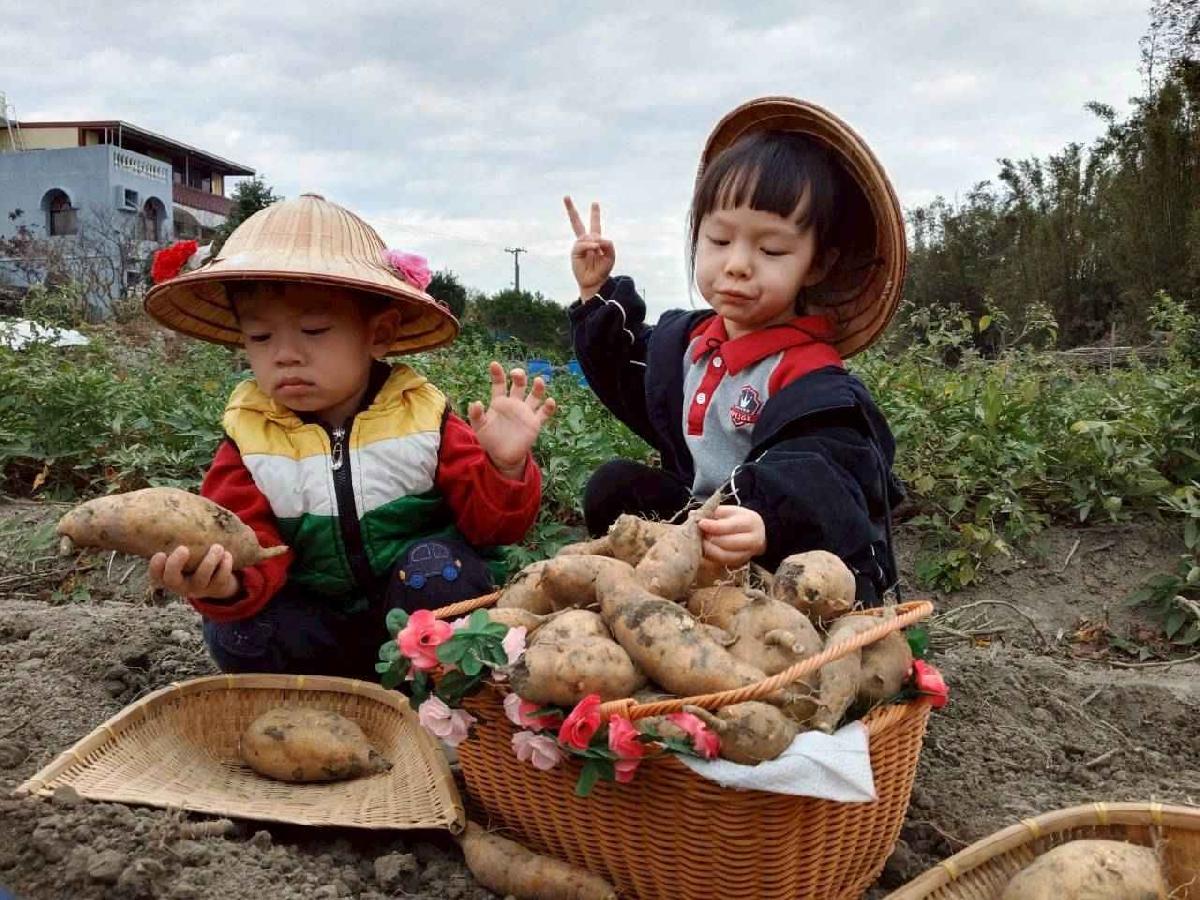 line_album_地瓜莓_260112_46