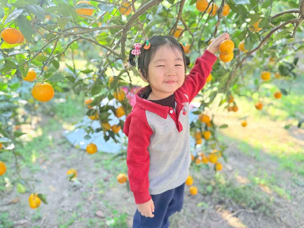 line_album_115114 採柳丁_260114_1