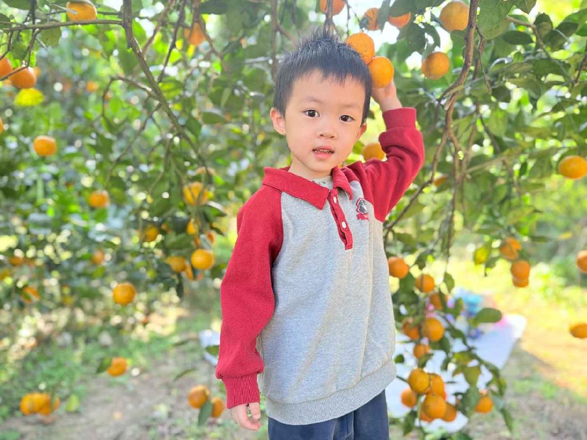 line_album_115114 採柳丁_260114_4