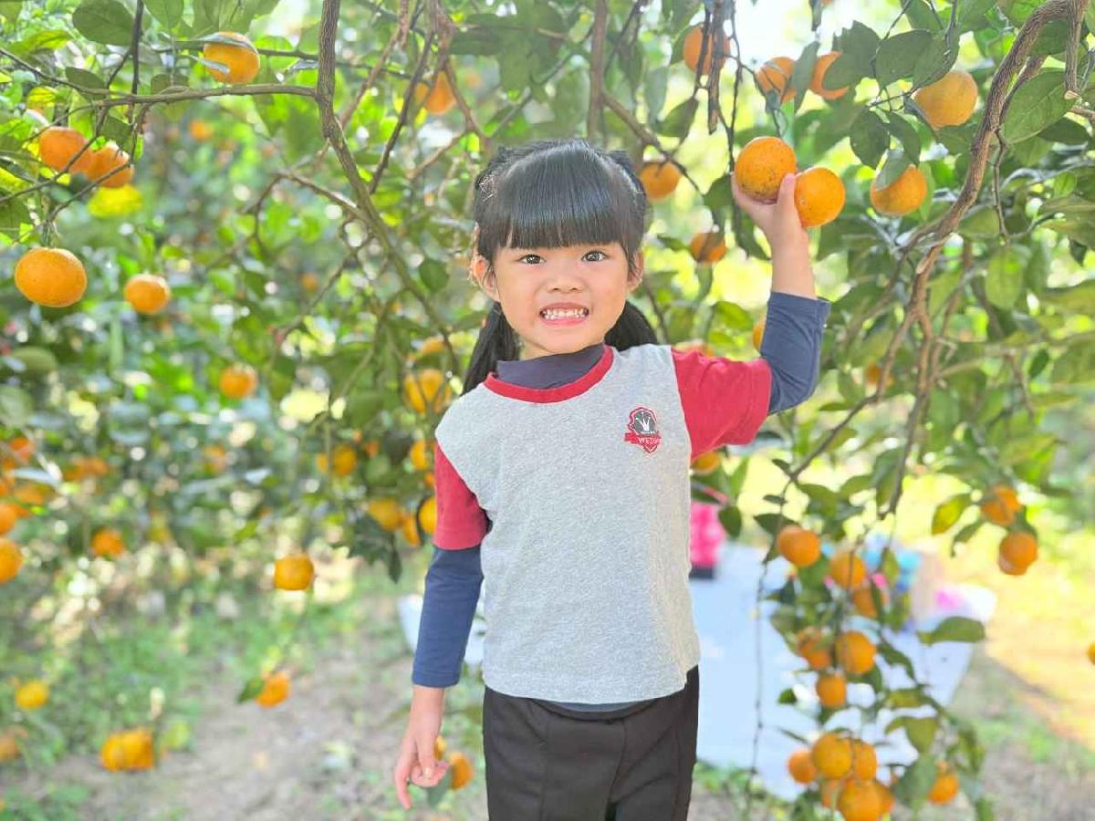 line_album_115114 採柳丁_260114_3