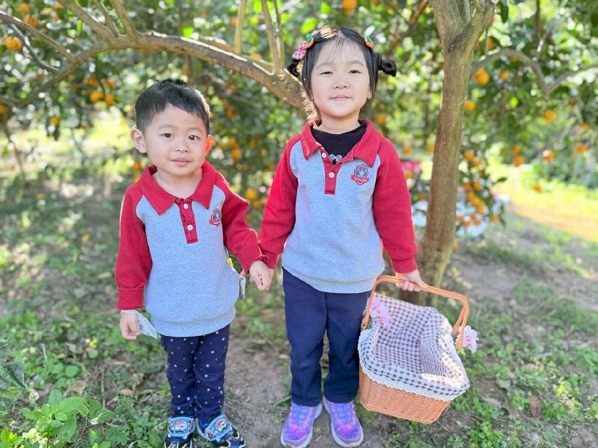 line_album_115114 採柳丁_260114_5