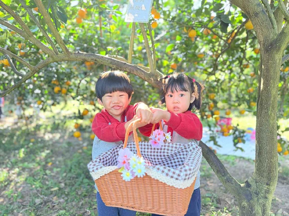 line_album_115114 採柳丁_260114_6