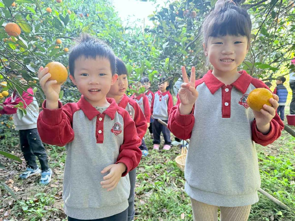 line_album_115114 採柳丁_260114_11