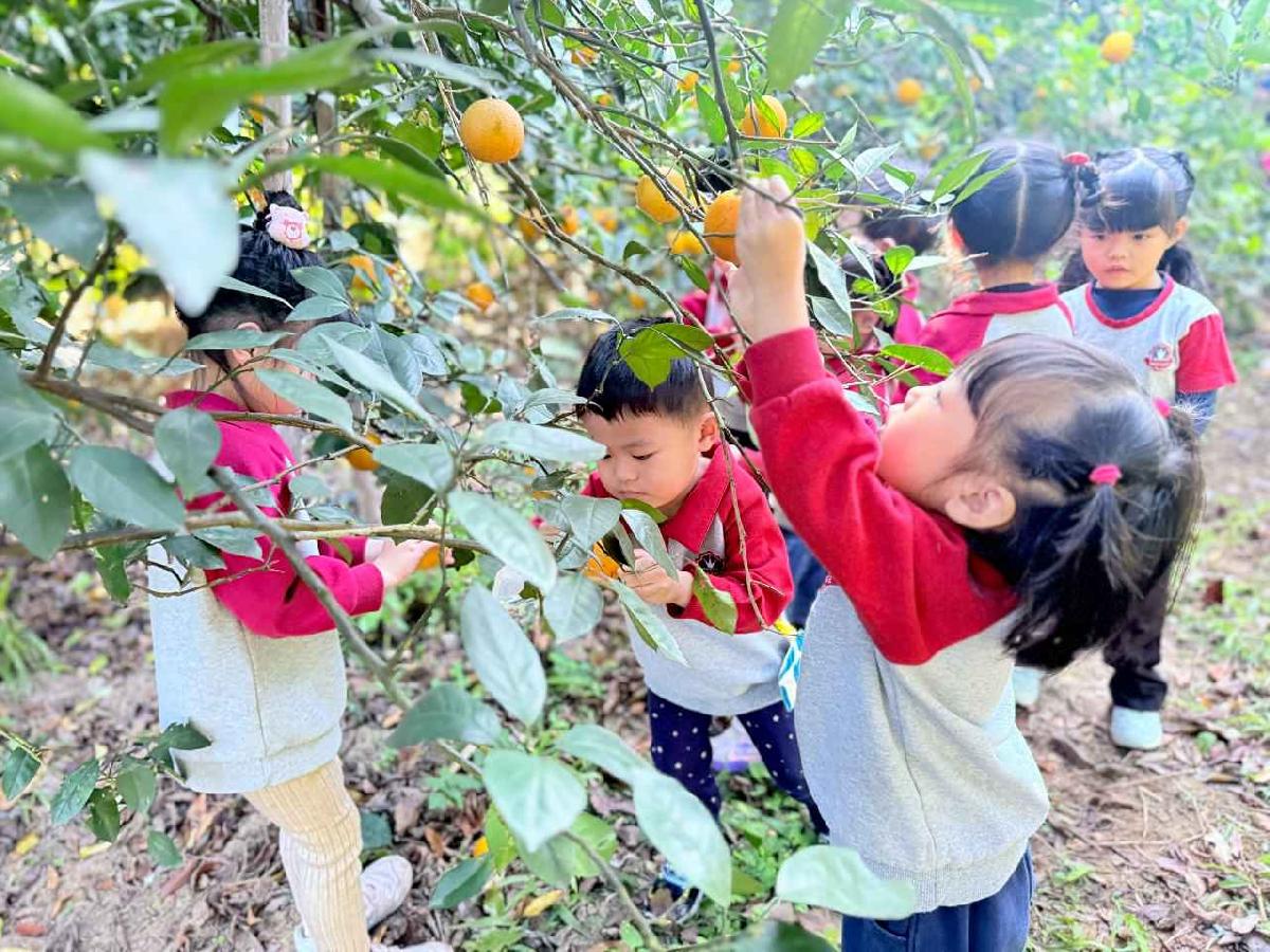 line_album_115114 採柳丁_260114_12