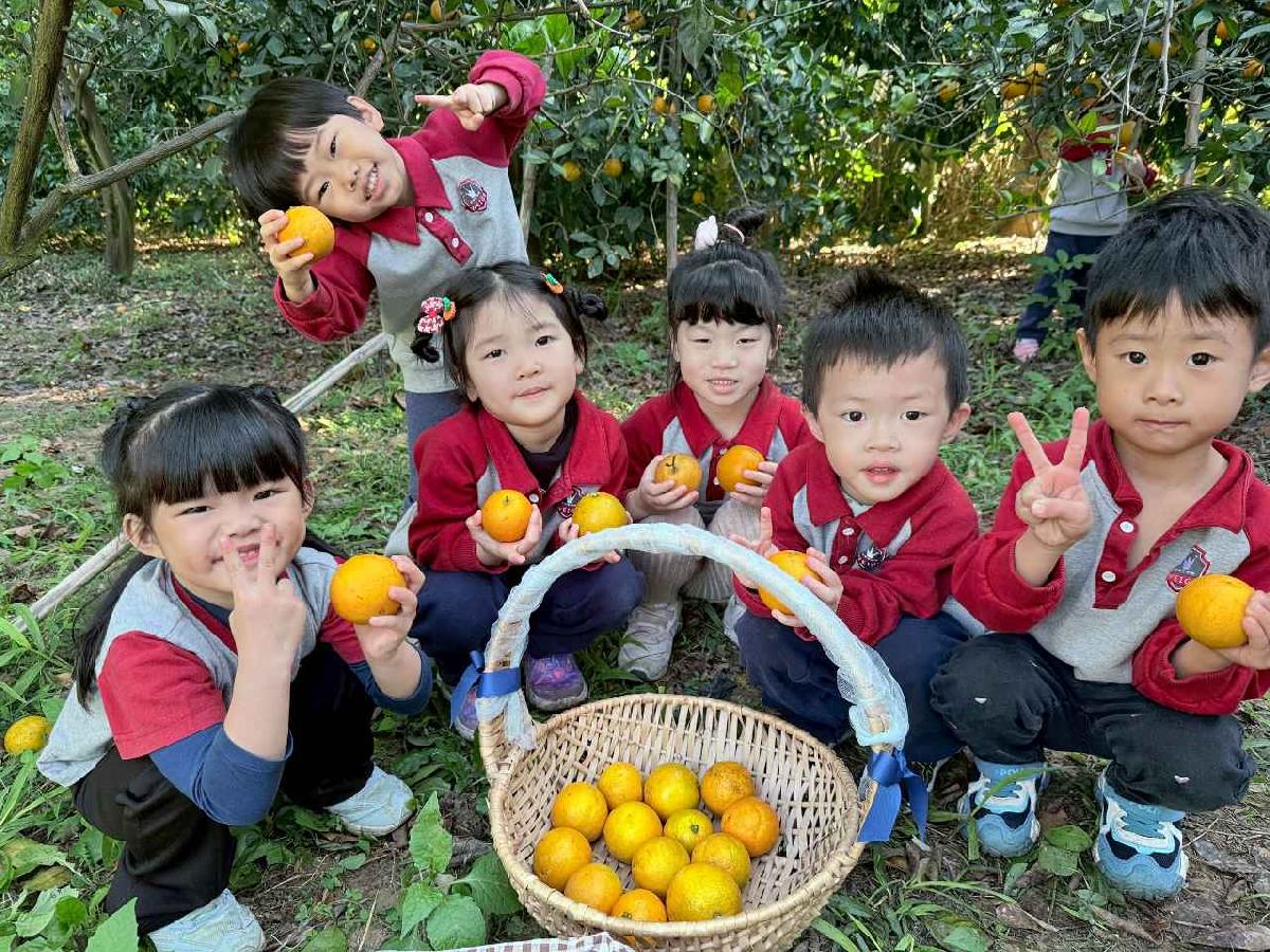 line_album_115114 採柳丁_260114_13