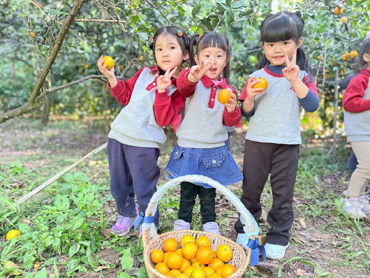 line_album_115114 採柳丁_260114_15