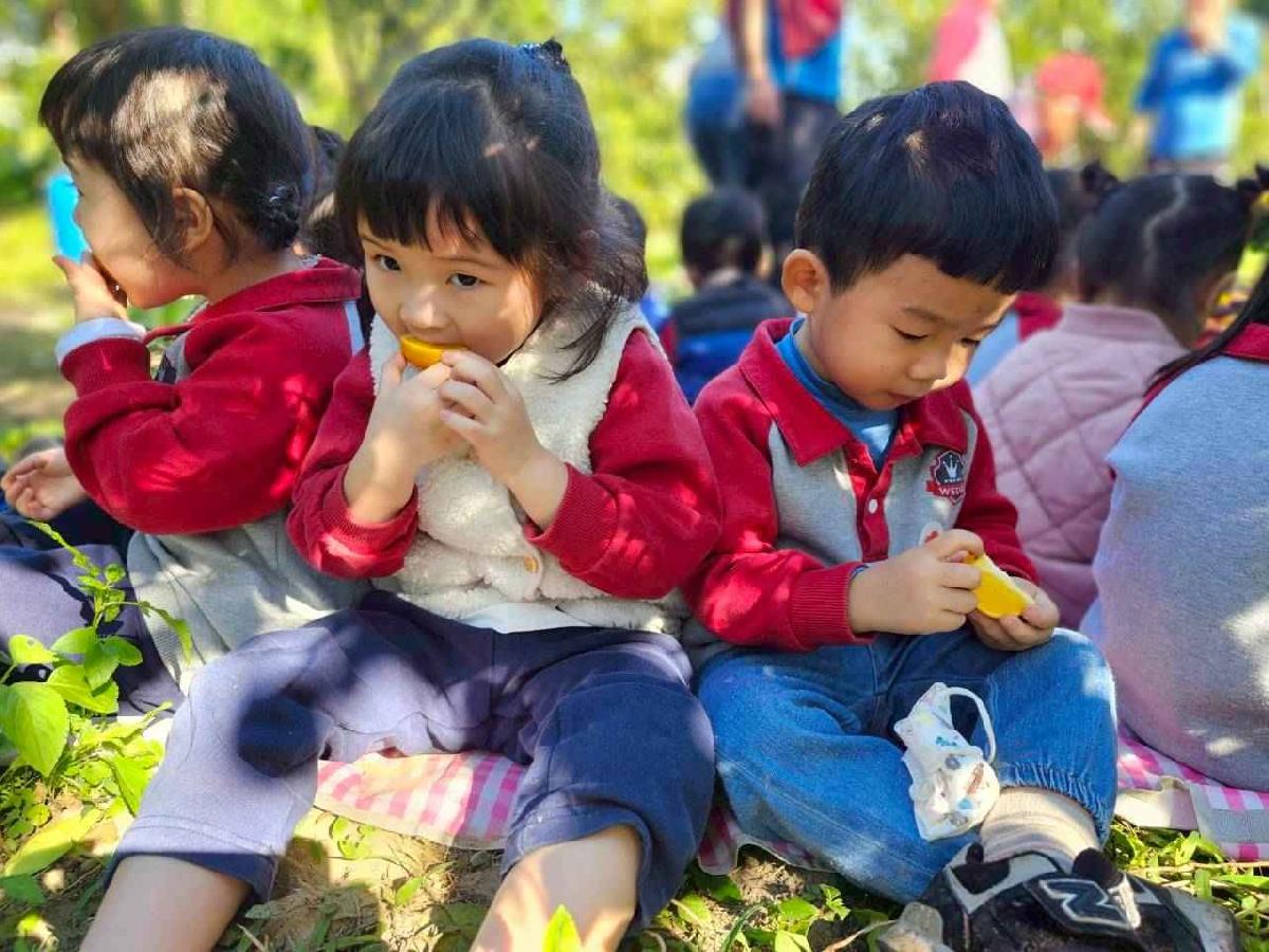 line_album_葡萄班採果樂_260114_1