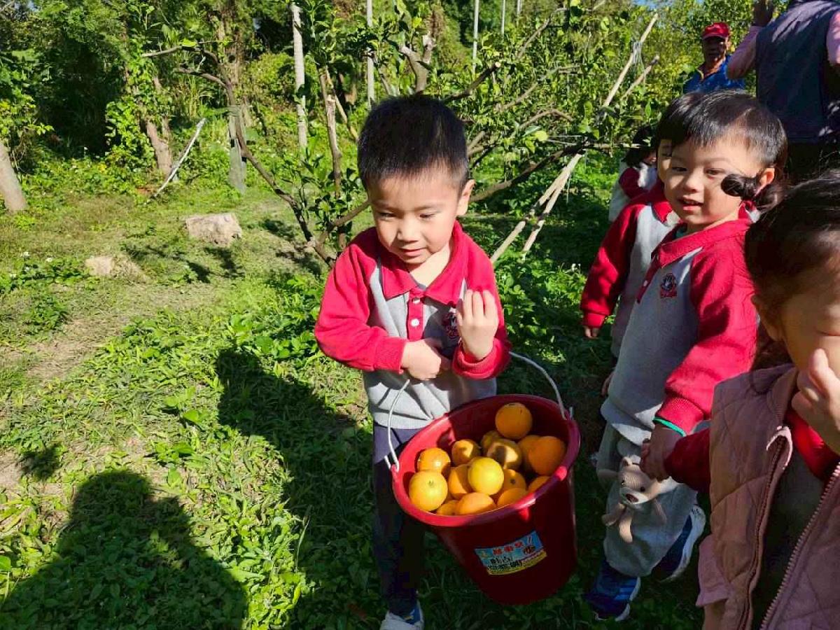 line_album_葡萄班採果樂_260114_6