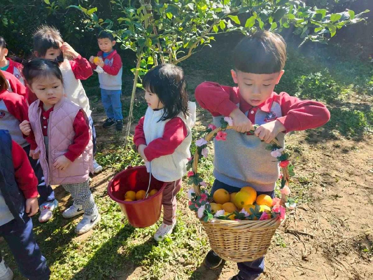 line_album_葡萄班採果樂_260114_7